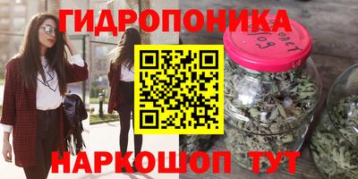 крисы Ливны